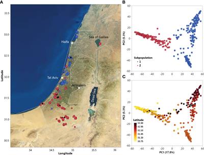 Genome-wide association mapping of rust resistance in Aegilops longissima